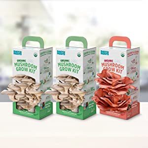 Back to the Roots Organic Mushroom Grow Kit 3-Pack: Oyst...